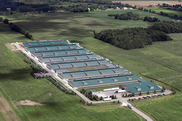 Conexión cósmica Co., Ltd de Harbin